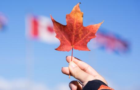 加拿大快速通道分数五连降，11月将启用全新职业列表！