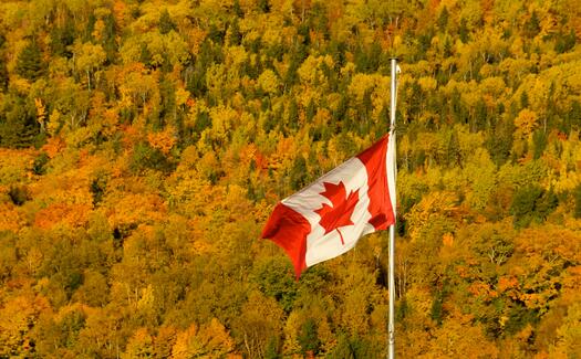 加拿大前五个月新批准移民已达到年度目标近一半……