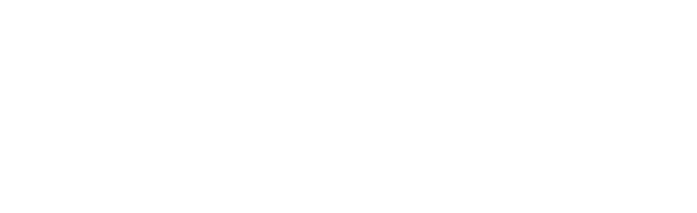 寰兴移民logo